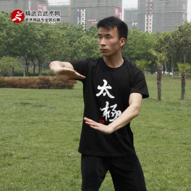 纯棉太极拳T恤 短袖文化衫男女款太极图案T恤衫武术T恤夏季太极服