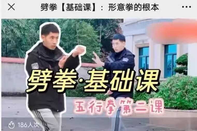 U盘发货 六面支撑混元桩三十三讲堂崩拳基础课进阶课劈拳基础+进阶