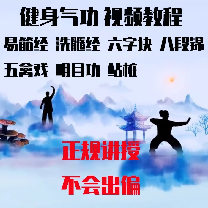 U盘发货 健身气功学习视频教程自学易筋经五禽戏八段锦六字诀站桩