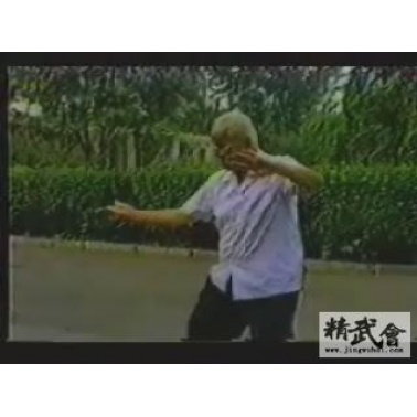 纪念洪均生专辑2VCD.jpg