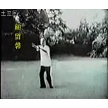 顾留馨太极拳1碟.jpg