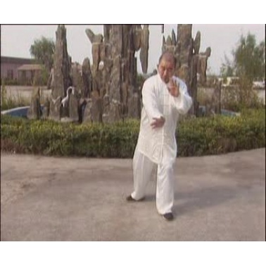 陈太平陈式太极老架真传函授10VCD.jpg