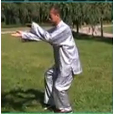 冯志内功心法3VCD.jpg