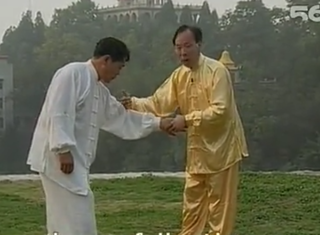 张志俊陈式太极新架一路教学及技击应用8VCD2.png